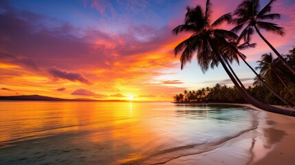 palm philippines sun