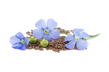 Blue flax blossom and seeds over white background