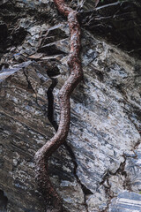 texture of a gray stone in a rock mountain close-up