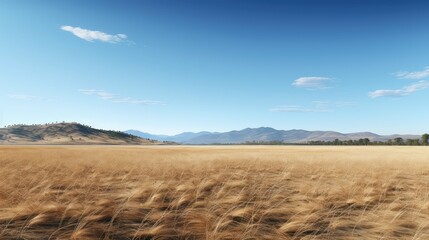 landscape brown grass