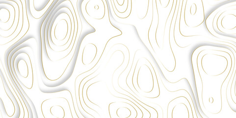 gold wave paper curved reliefs mount map abstract background, Abstract topographic contours map background, Topography map background. Vector geographic contour. Metal plates concept. 3D origami .