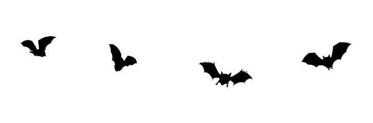 Set bat for a halloween day style