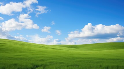 Fototapeta premium vivid clear light blue sky