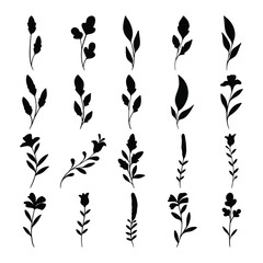 Set of plants and flower silhouette