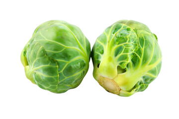 Fototapeta premium Two Fresh Green Brussel Sprouts Isometric on white background
