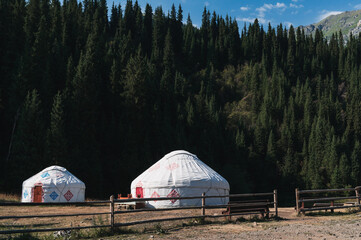 traditional Asian nomadic white yurts near the forest in summer in the steppes of Kazakhstan
