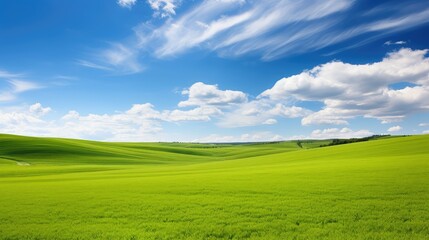 Obraz premium countryside sunny landscape