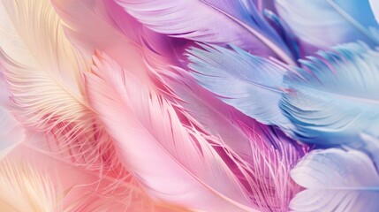 Fototapeta premium pastel colour feather abstract background, generative ai