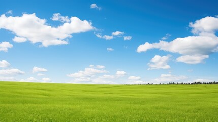 Fototapeta premium green clear light blue sky