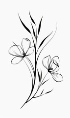 Obraz premium Abstract minimalistic Boho Bohemian elements design vector line art with a solid monochromatic background