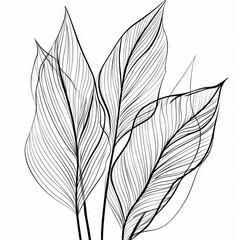 Abstract minimalistic Boho Bohemian elements design vector line art with a solid monochromatic background