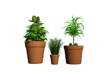 Potted plants isolated on transparent background