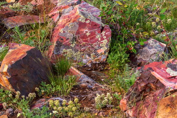 pieces of jasper lie on the mountain range of the Southern Urals in the Sibay region