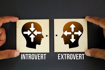 two sticks with introvert and extrovert icons, which is to be Ambivert