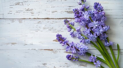 Obraz premium A bouquet of purple flowers is arranged on a white background. The flowers are of various sizes and are placed in a way that creates a sense of depth and dimension. Scene is one of beauty
