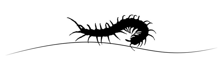 line art centipede stlye halloween day