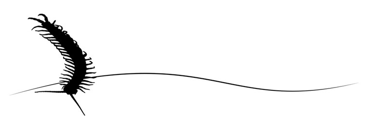 line art centipede stlye halloween day
