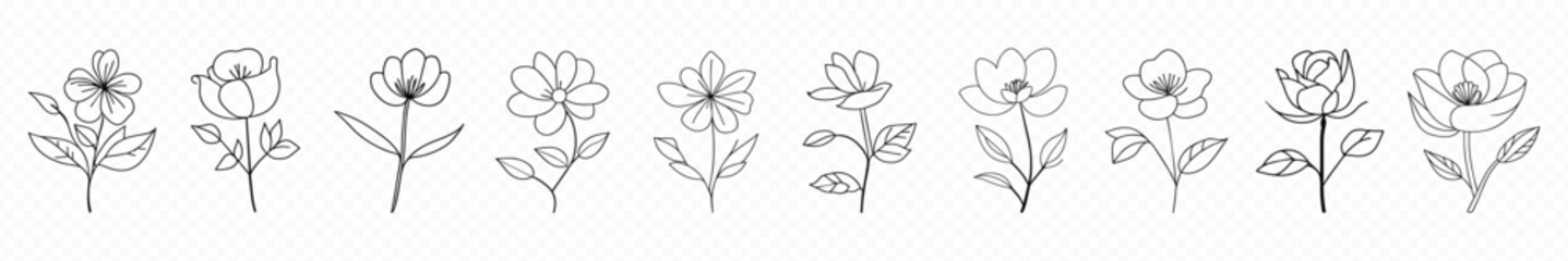  single lines floweer icon, Simple line set of flower icons. Premium quality objects. Vector signs isolated on a white background. Pack of flower pictograms.