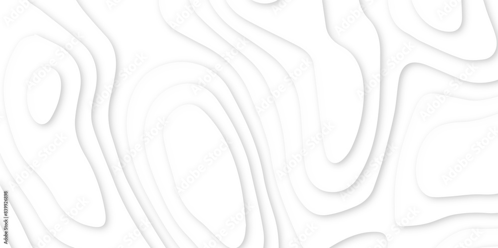 Poster abstract paper carve template. abstract white and gray 3d papercut topography relief vector backgrou