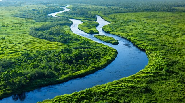 Smoothly Flowing River Delta 
