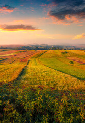 Wonderful summer sunrise on the Ukrainian countryside. Splendid morning scene of fields of wheat and corn, Ternopil outskirts location, Ukraine, Europe. Beauty of countryside concept background.