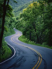 Fototapeta premium Roadside Curve