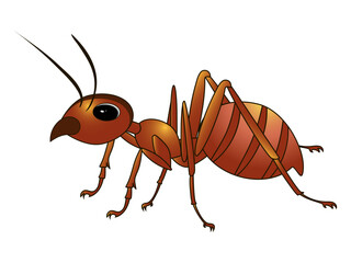 Cute cartoon ant isolated on a white background. Vector illustration 10 eps.