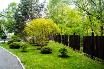 Relax in the peaceful park with a wooden fence, surrounded by trees and shrubs, perfect for immersing yourself in nature and experiencing tranquility among the vibrant greenery