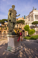 Obraz premium The Rome Forum and Palatine 