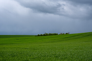 Champ sous des nuages d'orage