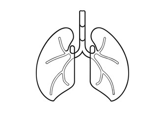 Naklejka premium Continuous one line drawing of human organ - Lungs. Lungs outline vector illustration 