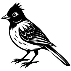 Bulbul bird sitting silhouette vector style illustration