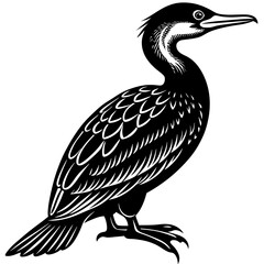 cormorant silhouette vector illustration svg file