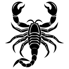 scorpion silhouette vector illustration svg