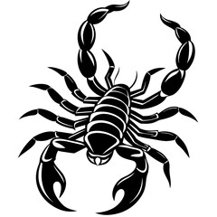 scorpion silhouette vector illustration svg
