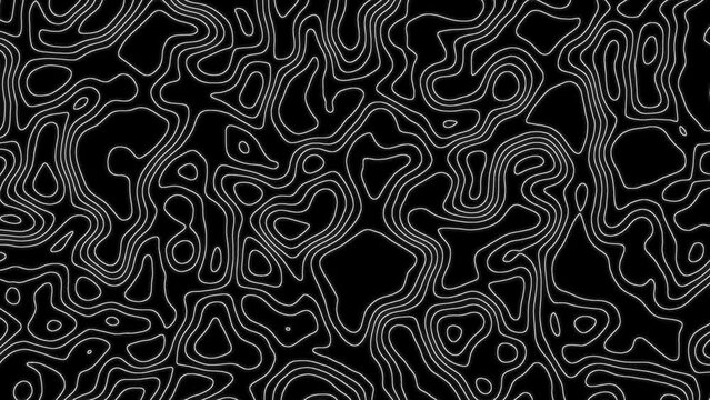 Topographic Map Animated video Backgrounds. Abstract Wave Pattern, Height Map Pattern Loop Animation