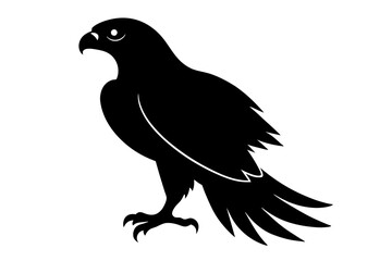 black crow silhouette vector illustration