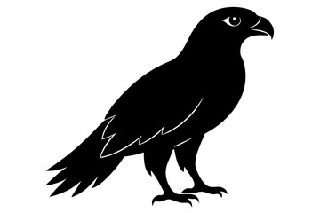 black crow silhouette vector illustration