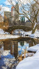 Gapstow Bridge in the Central Park New York in winter 