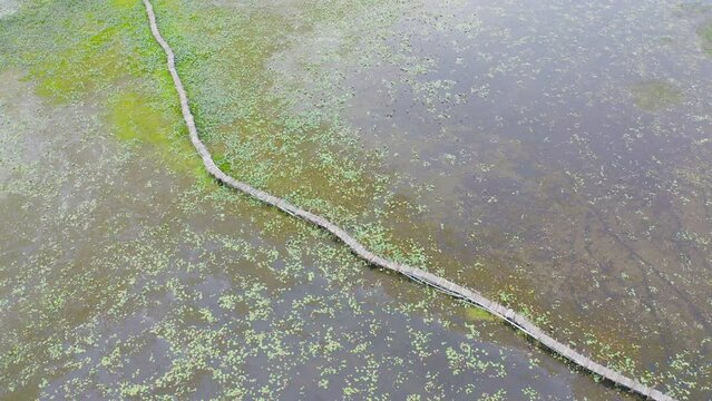 Aerial top view of Kae Dam Wooden Bridge, Maha Sarakham, lotus flowers in pond, sea or lake in national park in Thale Noi, Thailand. Nature landscape background.