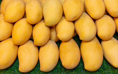 Fresh yellow mango as background
