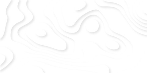 Background with lines Modern white carve wave line abstract luxury 3d papercut background. vector minimal topography map light element shadow landscape wave element curve graphic papercut design.