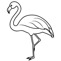 flamingo line art vector illustration.