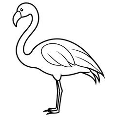 flamingo line art vector illustration.