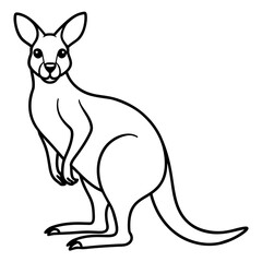 kangaroo line art vector illustration.