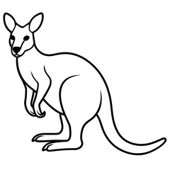 kangaroo line art vector illustration.