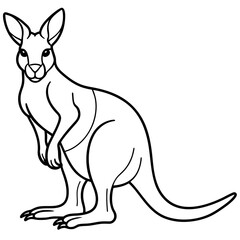 kangaroo line art vector illustration.