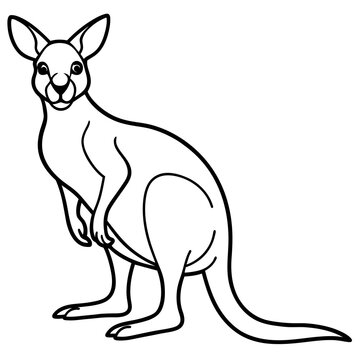 recommend clip art: kangaroo line art vector illustration.