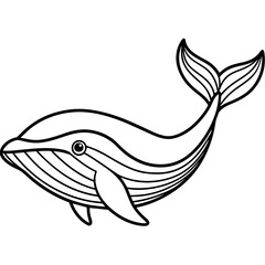Whale line art vector illustration.