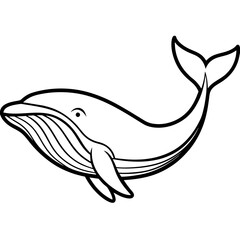 Whale line art vector illustration.